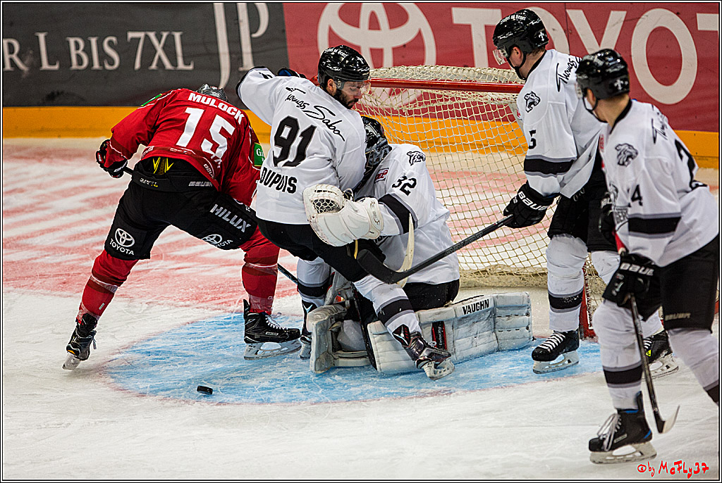 Koelner Haie - Nuernberger Ice Tiger, 04.12.2016